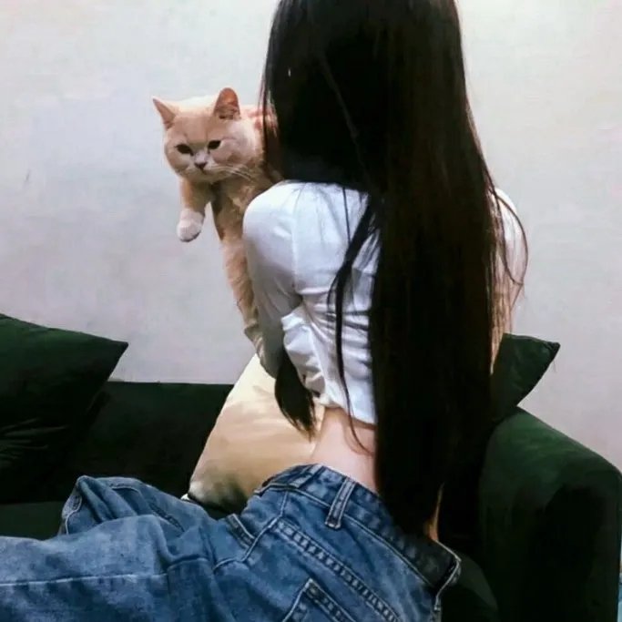 绝不投降